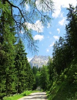 Dachstein Mountains Austria 95